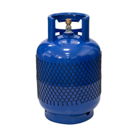Bina Picnic Small 3KG High Quality Low Pressure Lpg Gas Cylinder For South Africa